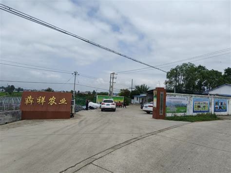 汉中这3家家庭农场获评陕西省“最美示范家庭农场”称号 - 汉中门户网