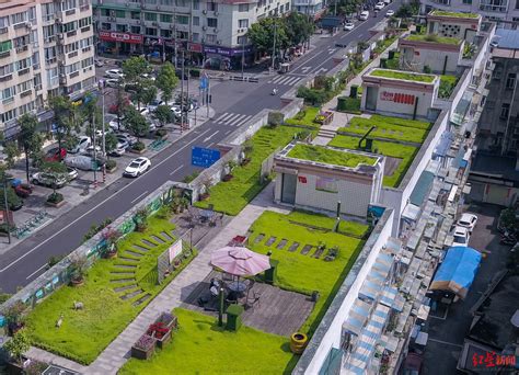 成都这个小区楼顶有个1100平米的共享“空中花园” 社区居民实现了公园城市梦