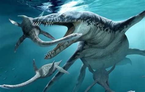 5种恐怖的史前海洋巨兽, 如果活到今天, 它们就是世界的霸主!|滑齿龙|海洋|龙王_新浪新闻