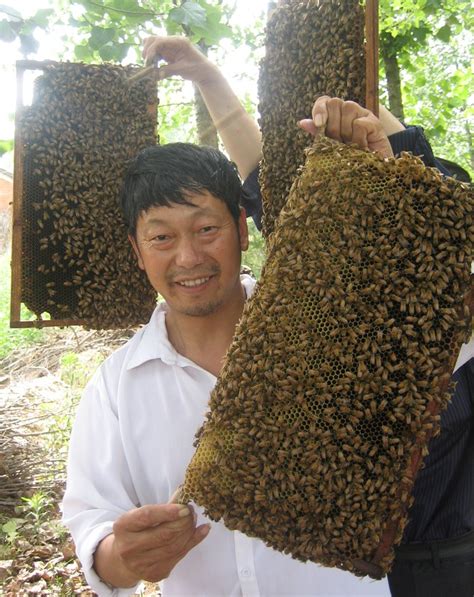 养蜂，有了新技术——人民政协网