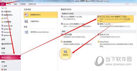 access2013下载-access2013破解版(带激活工具)-东坡下载