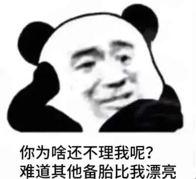 你可以阻挡我好好学习但不可以阻挡我一心建设美好社会的中国梦斗图表情包-表情pynsnnv-爱斗图
