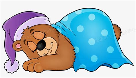 睡着的小熊PNG图片素材下载_睡着PNG_熊猫办公