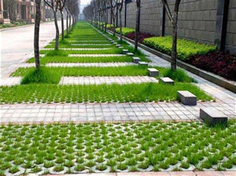 草坪砖内可以种植哪些植物 种什么草-江苏长景种业有限公司