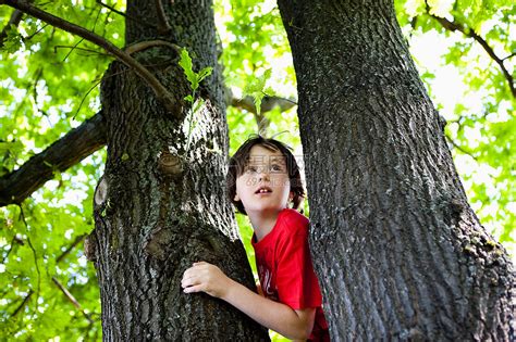 手绘风小男孩爬树倒挂树枝PNG图片素材下载_树枝PNG_熊猫办公