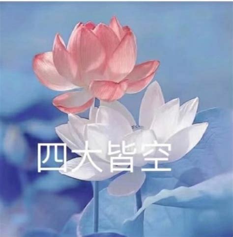古风采莲花头像女生唯美