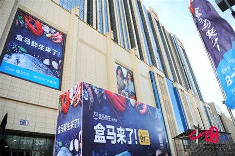 盒马年内开店30家 北京迈入“生鲜30分钟达”时代-中国网