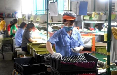 一图读懂《阳江市促进服务业领域困难行业恢复发展的若干措施》