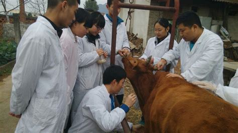 畜牧兽医专业（院级特色专业、学院“一流”专业）-汉中职业技术学院农林生物学院