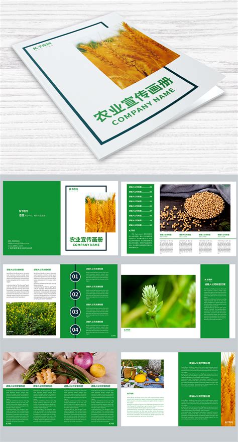 农业绿色食品公司简介企业画册设计模板 Agriculture Company Profile-变色鱼
