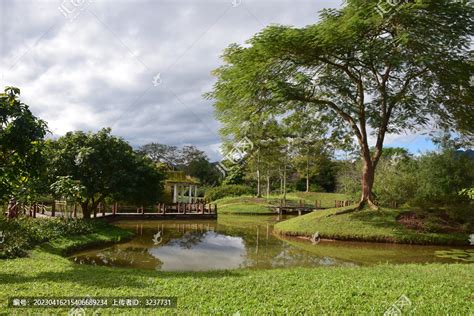 西双版纳热带植物园,自然保护景区,旅游景点,摄影素材,汇图网www.huitu.com