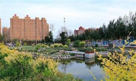 有水就是绿洲，吉林白城成米粮川_京报网