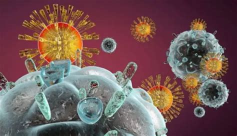 HIV免疫疗法获重大突破，一览最新研究进展 - 生物探索