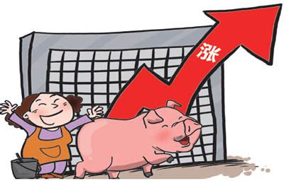 调控初见成效！深圳猪价49元/斤下降到38元以下。屠宰复工率增加，猪价近期将回落趋稳 - 猪好多网