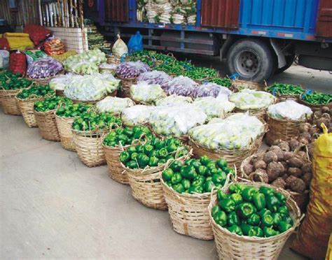 极端天气拉高菜价，8月全国菜价环比上涨近一成-长江蔬菜