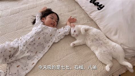 人类幼崽吸猫日常之被三只猫咪嫌弃了_腾讯视频
