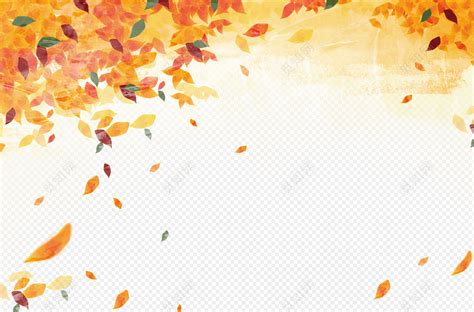 秋季促销秋天红色枫叶落叶png素材免费下载_觅知网