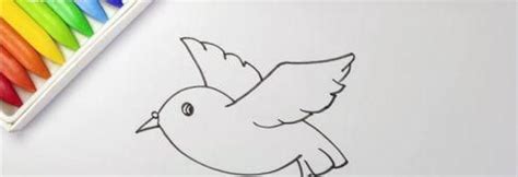 彩色卡通的鸽子简笔画怎么画 简单漂亮的鸽子简笔画绘制教程带步骤-露西学画画