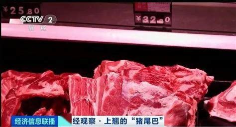 猪肉价格跌破每斤15元-猪肉价格为什么下降这么厉害 - 见闻坊
