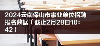 2024云南保山市事业单位招聘报名数据（截止2月28日10：42）|云南|事业单位|保山市_新浪新闻