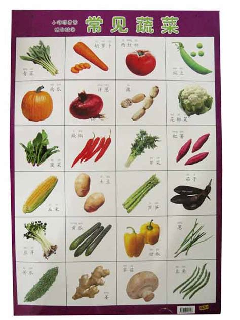 蔬菜分类大全_蔬菜分类大全：1-6楼：根茎类7-12楼：茎叶_宝宝树