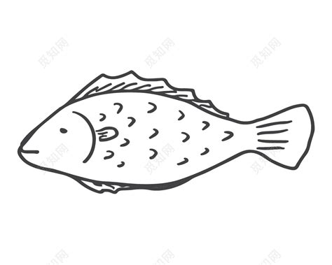 鱼卡通简笔画图片