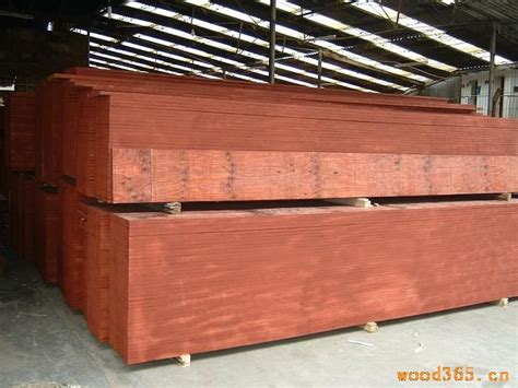 多层板,LVL,梁柱模板,水泥模板-三明市碧湖木业制品有限公司