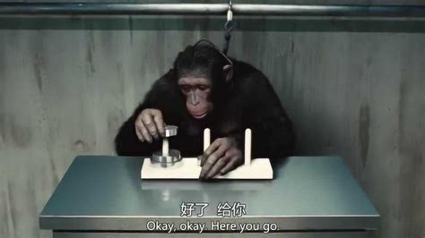 [猩球崛起3:终极之战]War.For.The.Planet.of.the.Apes[720P/1080P国英双语/4G/16G]-HDSay高清乐园