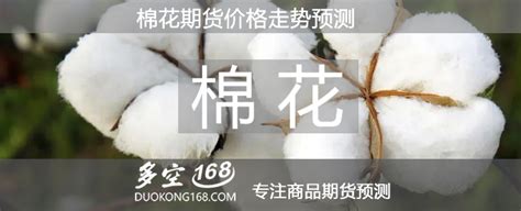 棉花期货基础知识-中信建投期货上海