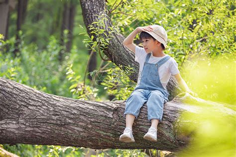 坐在树干上活泼的小男孩高清图片下载-正版图片501764775-摄图网