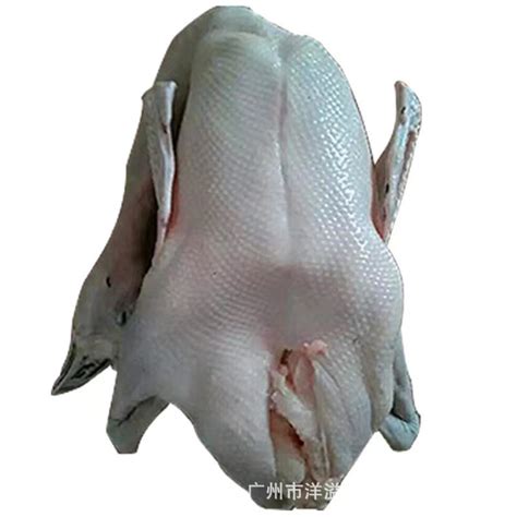 冷冻鹅白条鹅焖鹅朗德鹅冷冻鹅肉去内脏鹅一箱5-6只 40斤/件-阿里巴巴