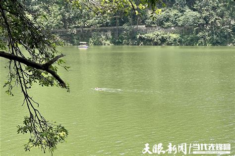 【天眼问政】黔灵湖“野泳”屡禁不止？公园管理处：加强管理，呼吁游客不要下湖游泳