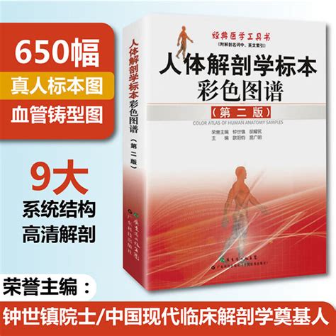 人体解剖彩色图谱图片 人体解剖彩色图谱图片