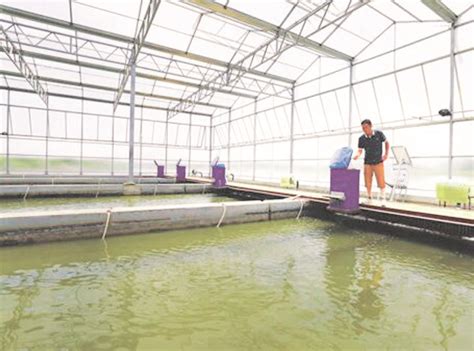 特色水产养殖助农增收致富--江宁新闻