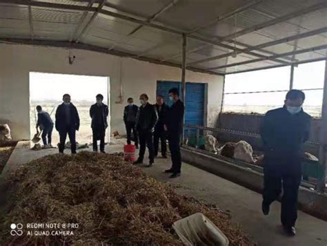 科技处组织农业产业专家赴沙雅县调研-塔里木大学