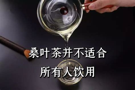 东岳桑叶茶的制作过程_腾讯视频