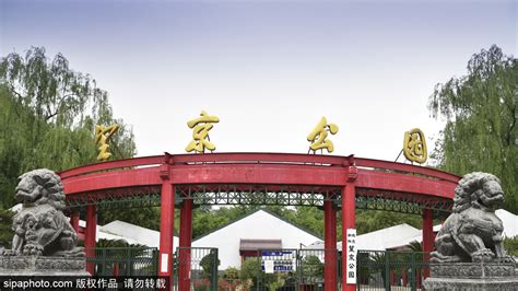 2022大望京公园游玩攻略,大望京公园位于朝阳区崔各庄...【去哪儿攻略】