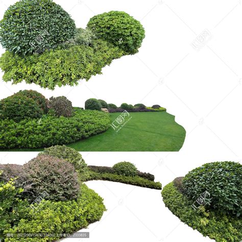 最新灌木素材,景观设计,模型设计/效果图,设计模板,汇图网www.huitu.com