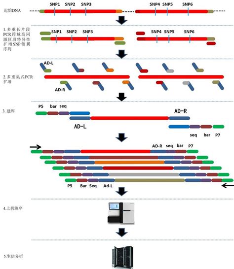 Nature发布最大规模人类基因组序列结构变异（SV）图谱_Callset