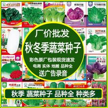 各种蔬菜种子 - 中国北京种业线上交易平台