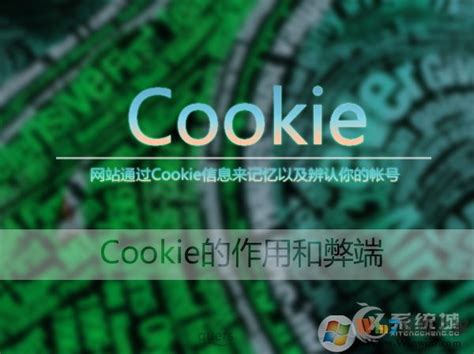 如何启用网页浏览器 Cookie_三思经验网