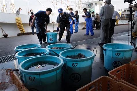 日本渔业界反对把核污水排入大海 - 中国核技术网