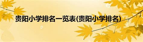 贵阳市重点小学排名榜（2022年最新最好的小学名单） - 学习 - 布条百科