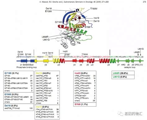 Nat Genet | 基于单细胞多组学技术解析DNMT3A R882突变在人类克隆造血中的影响_研究_体细胞_团队
