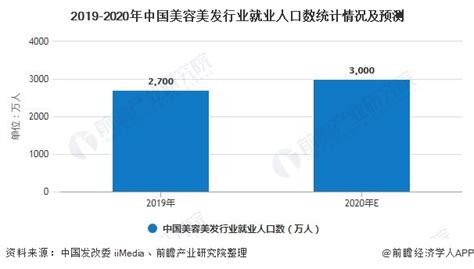 中国生活美容行业发展报告2020_采美365网