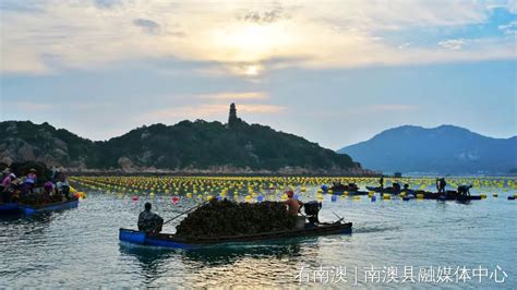 南澳县委主要领导带队调研渔港经济区及西山综合体项目建设工作_海岛动态_南澳县人民政府门户网站