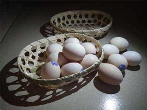 Champion鸡蛋包装|工业/产品|其他工业/产品|ZhaoYuanhao - 原创作品 - 站酷 (ZCOOL)