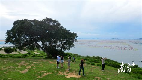 经典网红路线|环岛寻梦记，玩转南澳绝美海岸线-南澳旅游攻略-游记-去哪儿攻略