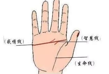 断掌手相图解大全图片
