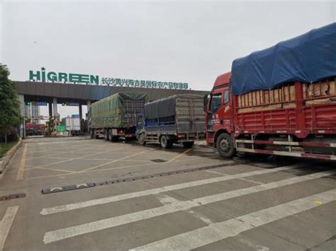 长沙“海吉星”成全国最大蔬菜枢纽市场 日均批发交易量1.5万吨 - 湖南产业 - 新湖南